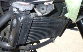 YAMAHA XSR155