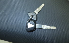 KAWASAKI NINJA 250 2010