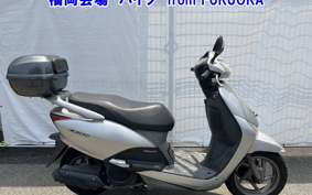 OTHER  LEAD 110EX
