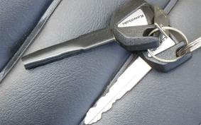 KAWASAKI W800 2020 EJ800B