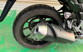 SUZUKI STROM 250 DS11A