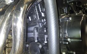 KAWASAKI Z900RS 2024 ZR900K