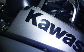 KAWASAKI NINJA 1000 A 2017 ZXT00W
