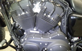 HARLEY XL1200NS 2019