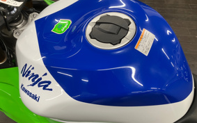KAWASAKI NINJA ZX-6R 2024 ZX636J