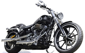 HARLEY FXSB 2013 BF5
