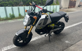 HONDA GROM JC92
