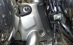 HARLEY FLSTFI1920 2025