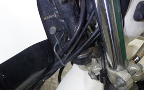 KAWASAKI SUPER SHERPA 2021 KL250G