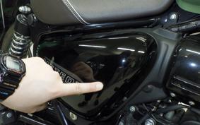 OTHER +ENFIELD ﾒﾃｵ350 2024