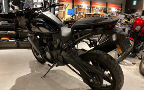 HARLEY  HARLEY  PAN  AMERICA 1250 2022 ZDS