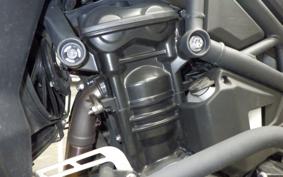 TRIUMPH TIGER EXPLORER 2013