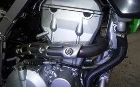 KAWASAKI KLX250 Gen.2 2021 LX250S