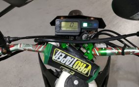 KAWASAKI D-TRACKER LX250E