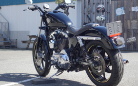HARLEY XL1200C 2007 CT3