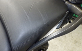 TRIUMPH TIGER 900 RALLY PRO 2022