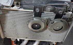 KAWASAKI NINJA 250 EX250L