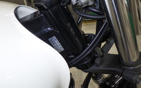 SUZUKI ST250E 2009 NJ4CA