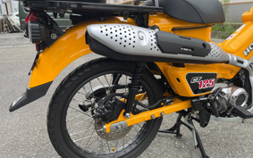 HONDA CT125 HUNTER CUB JA65