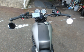 TRIUMPH BONNEVILLE T100 2024 DAD70G