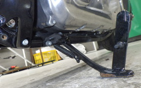 HARLEY FXST1750 2025