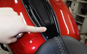 HARLEY FLTRX1920 2026