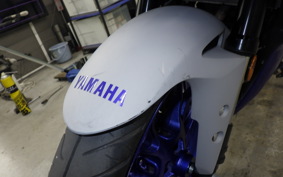 YAMAHA YZF-R25 2016 RG43J