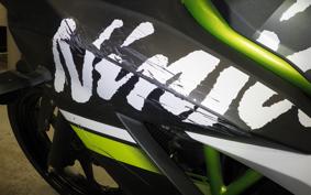 KAWASAKI NINJA 250 SL 2007