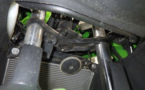 KAWASAKI NINJA 250 EX250L
