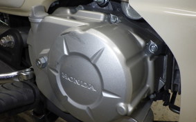 HONDA C50 SUPER CUB AA09