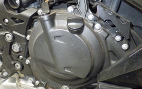 KAWASAKI NINJA 250 2021 EX250P