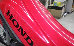 HONDA CROSS CUB 110 2024 JA45