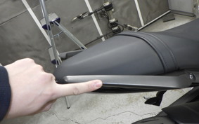 TRIUMPH TRIDENT 660 2024