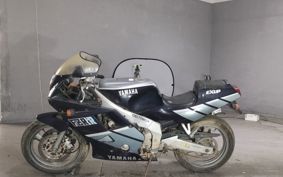 YAMAHA FZR250R-1 3LN