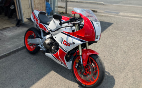 YAMAHA XSR900 GP 2024 RN96J