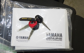 YAMAHA FJR1300 AS 2016 RP27J