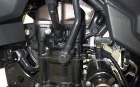 SUZUKI Vｽﾄﾛｰﾑ250SX 2025 EL11L
