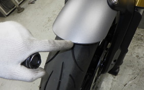 TRIUMPH SPEED 400 2024