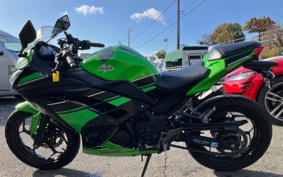 KAWASAKI NINJA 250 EX250L
