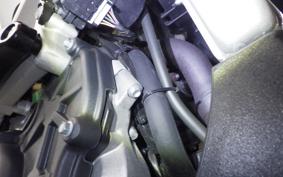 APRILIA TUONO V4 1100 2019