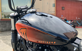 HARLEY FXBBS 2022 YYK