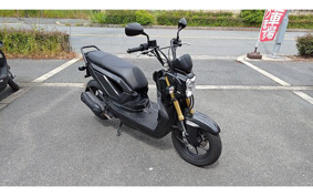HONDA ZOOMER-X 2014 JF52