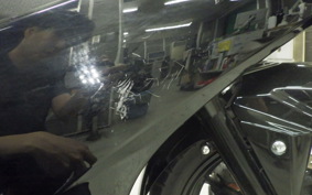 SUZUKI GSX250 R 2007