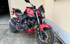 YAMAHA MT-25 RG10J