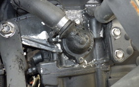 TRIUMPH TIGER1050(ショルイ