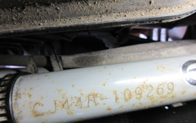 SUZUKI SKYWAVE 250 CJ44A