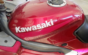 KAWASAKI ZZ-R250 EX250H