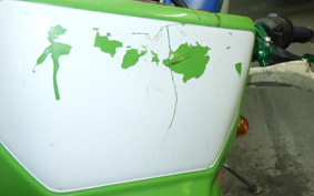 KAWASAKI KDX250SR 2012 DX250F