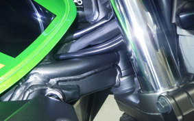 KAWASAKI ZRX1200 D 2013 ZRT20D