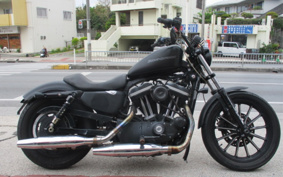 HARLEY XL883N 2010 LE2